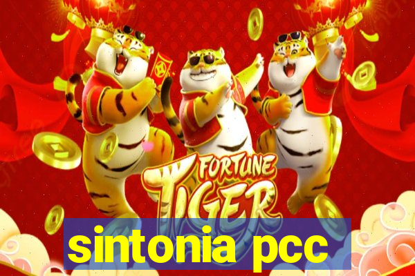 sintonia pcc